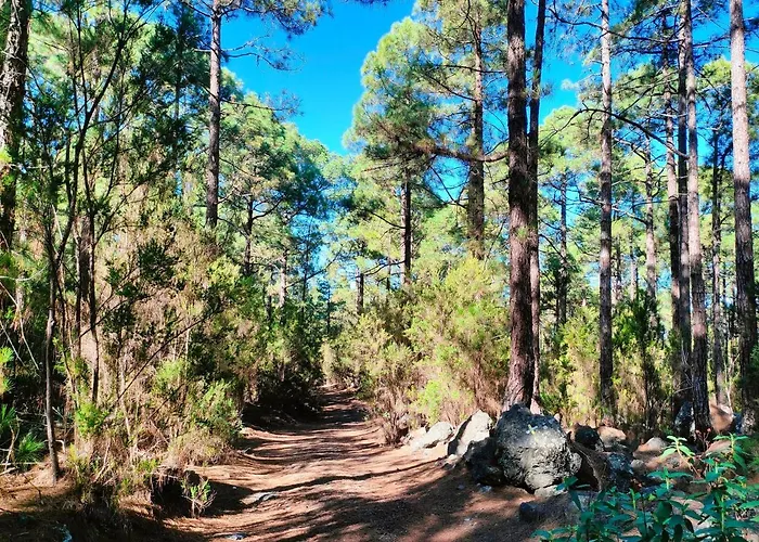 Lejlighed Casa Kores